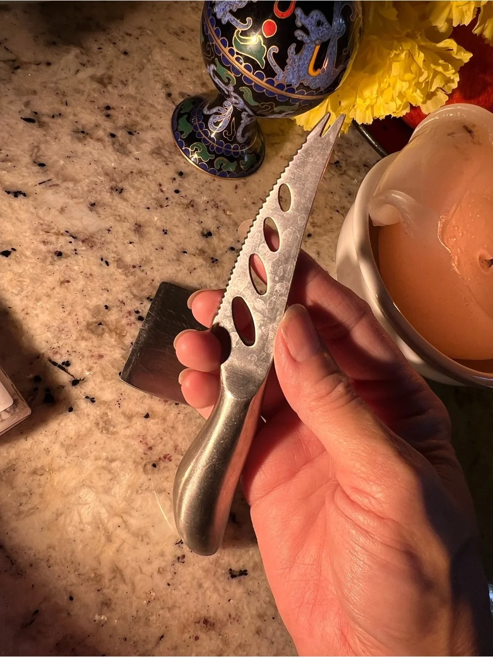 Stainless Steel Cheese Knife and Spreader Set of two